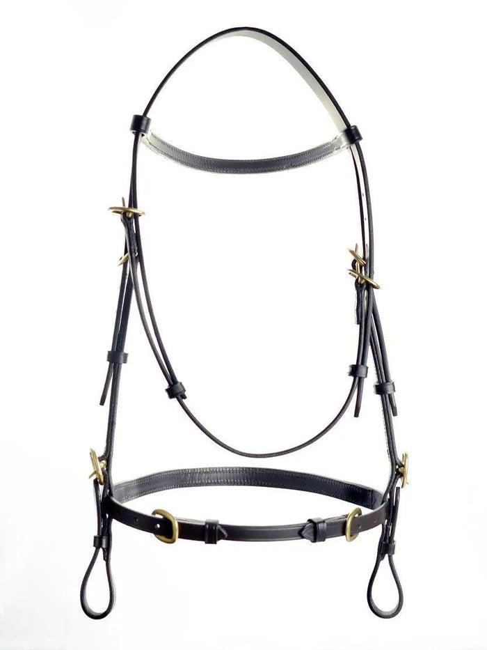 Ascot Inhand Bridle - Brown - Cob