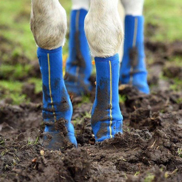 Equilibrium Equi-Chaps Close Contact Chaps - Navy - Extra Small