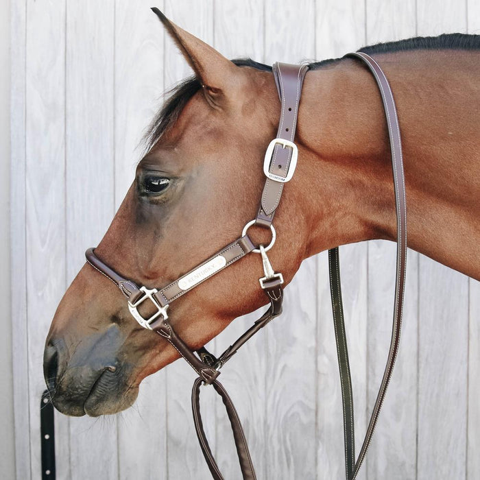 Kentucky Horsewear Leather Covered Chain Lead 2.7m - Equiluxe Tack