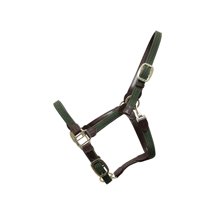Olive green / COB