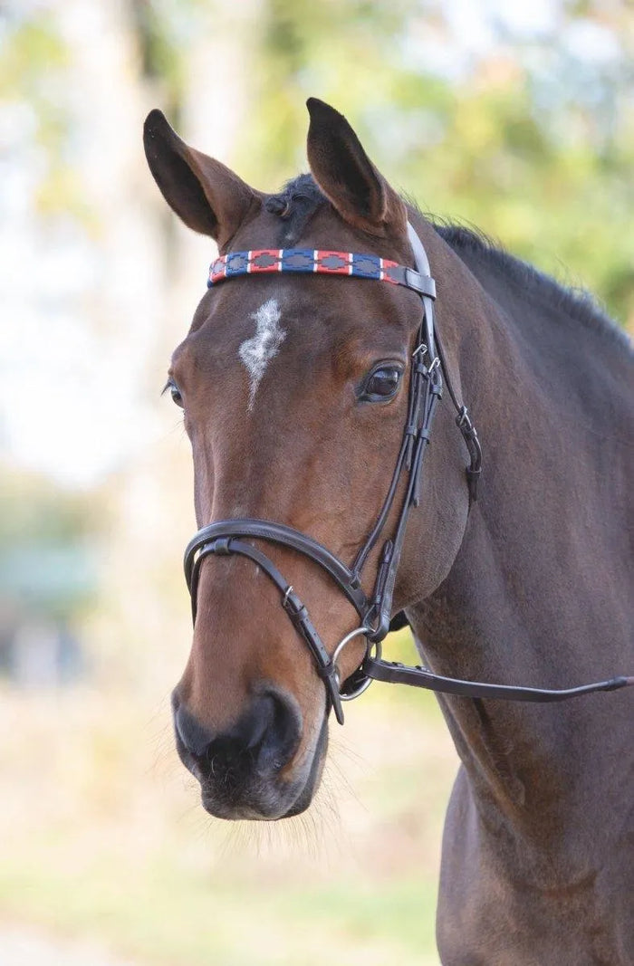 Velociti GARA Leather Polo Browband - Purple/Dark Green/Yellow - Cob