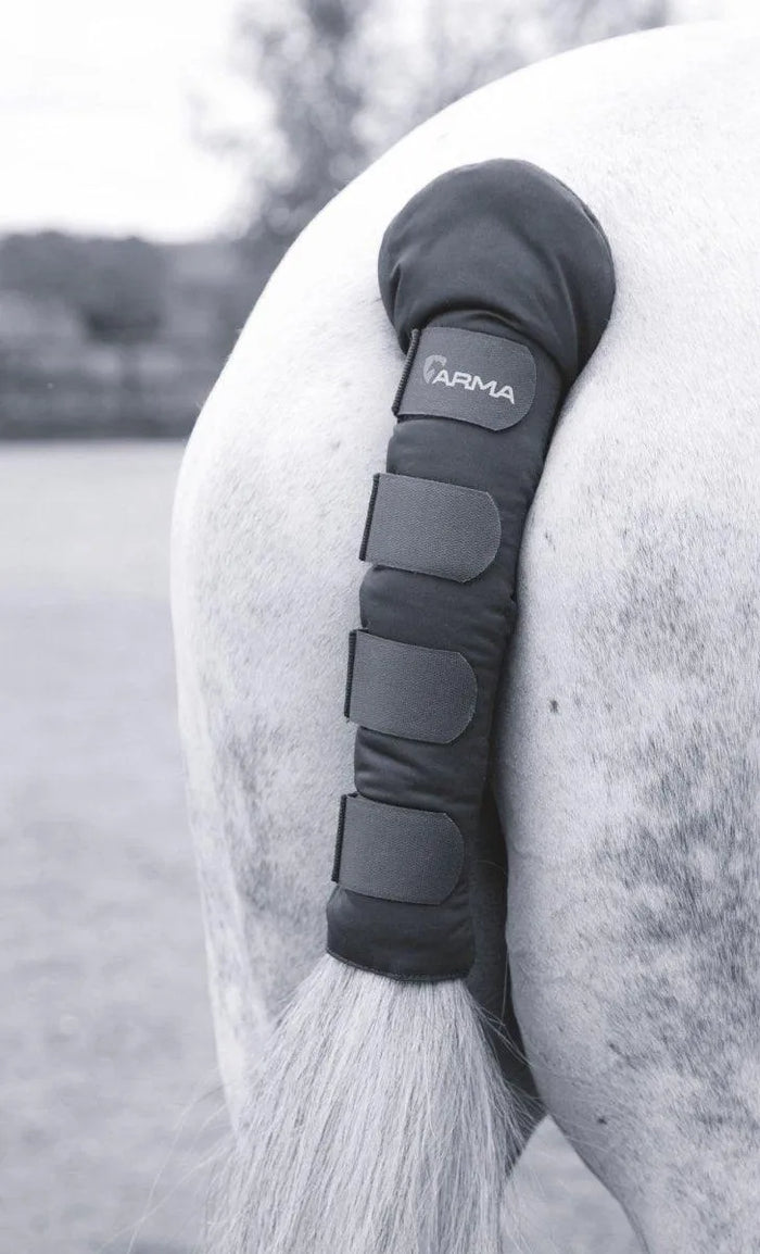 ARMA Padded Tail Guard - Bright Blue -