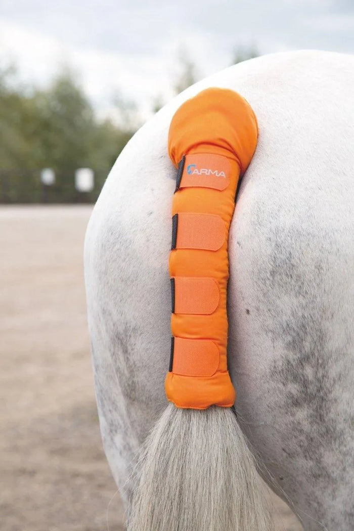 ARMA Padded Tail Guard - Bright Blue -
