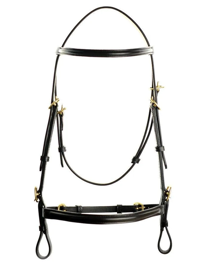 Ascot Inhand Bridle - Black - Cob