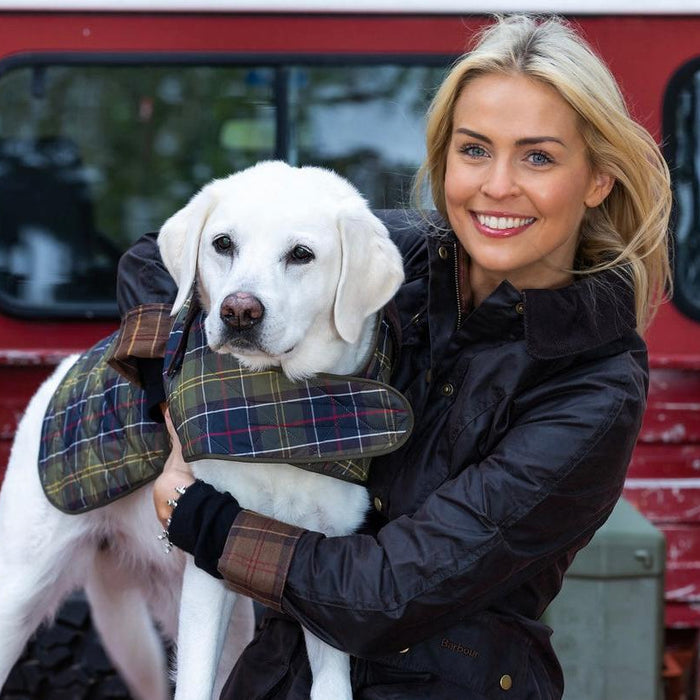White dog wearing a diamond-quilted Barbour tartan coat with a corduroy collar, held by a woman in a matching jacket.
