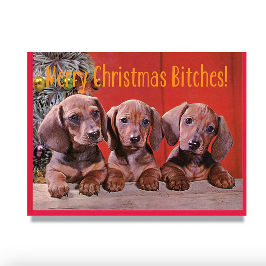 Card - Merry Christmas Bitches