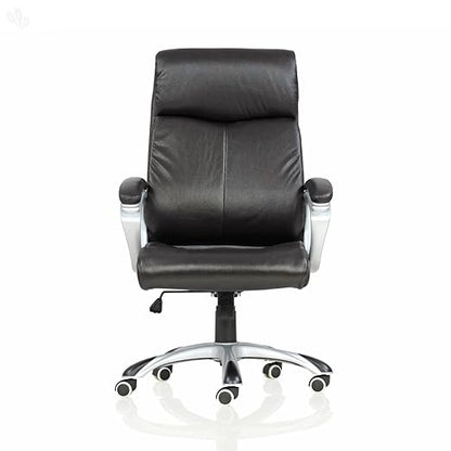 Director Chair