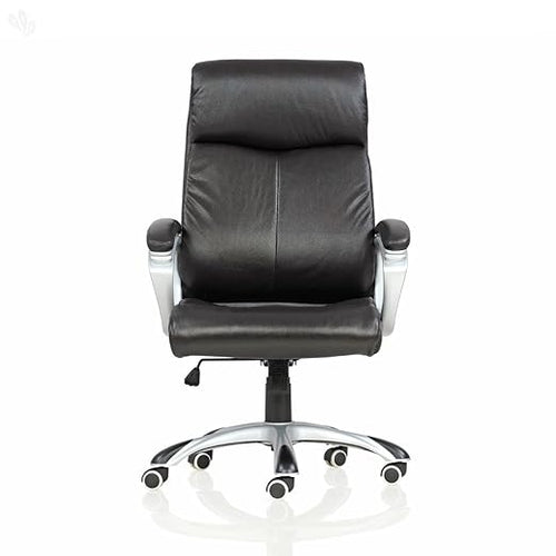 Director Chair
