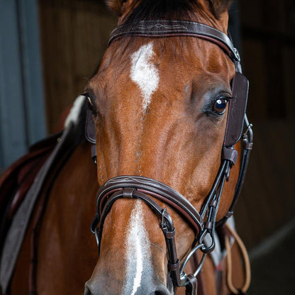 Dy'on Blinkers - Equiluxe Tack