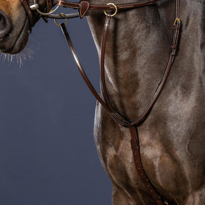 Dy'on Collection Running Martingale - Equiluxe Tack