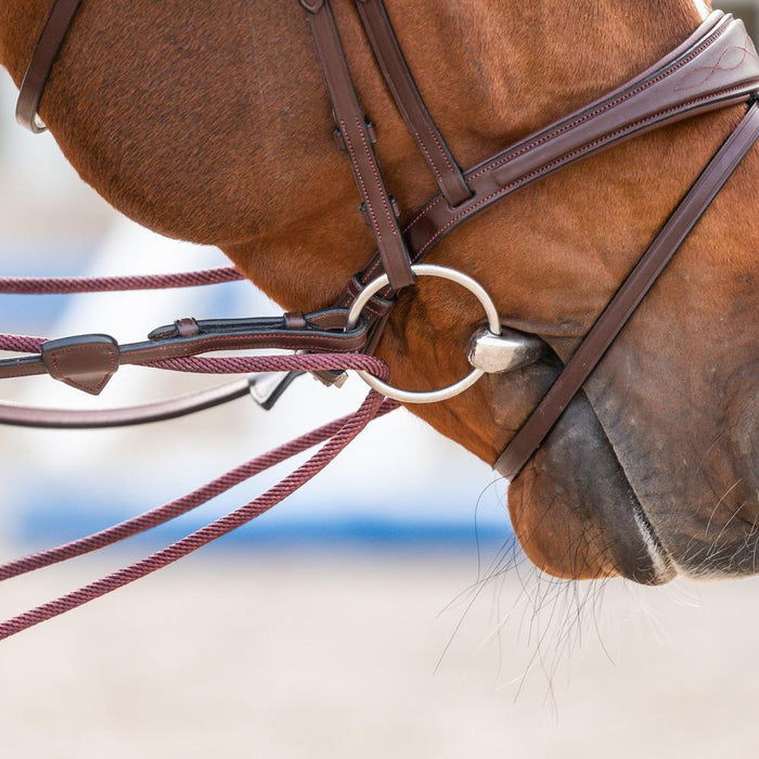 Dy'on New English Collection 5/8" Leather/Nylon Draw Reins - Equiluxe Tack
