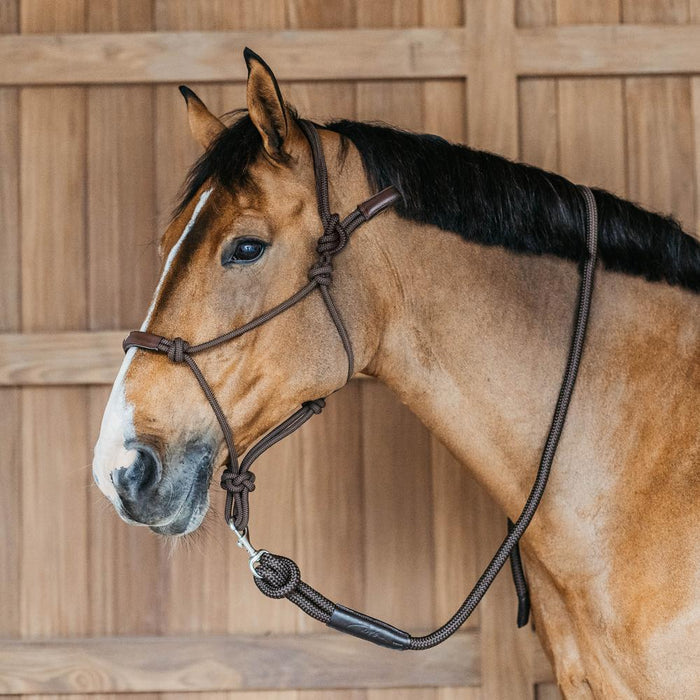 Dy'on Training Halter - Equiluxe Tack