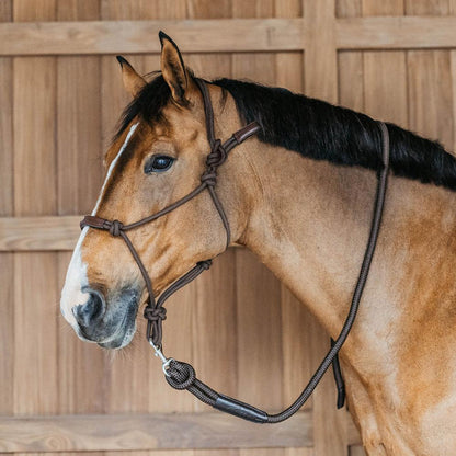 Dy'on Training Halter - Equiluxe Tack