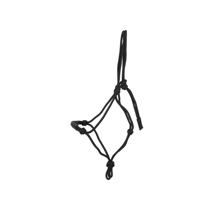 Dy'on Training Halter - Equiluxe Tack