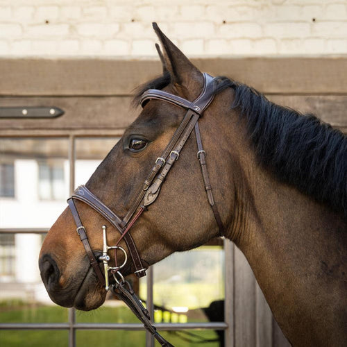 Dy'on US Collection Gag Cheekpieces - Equiluxe Tack