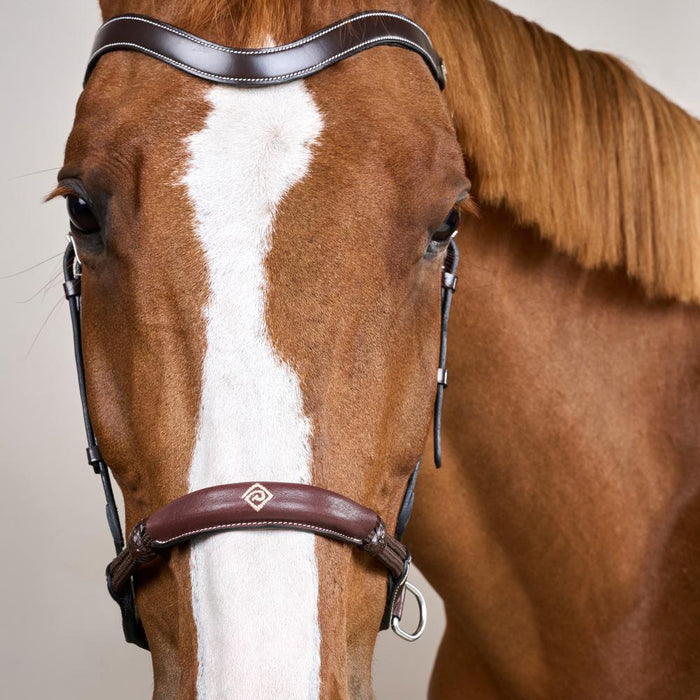 Dy'on Working Collection Bitless Bridle - Equiluxe Tack
