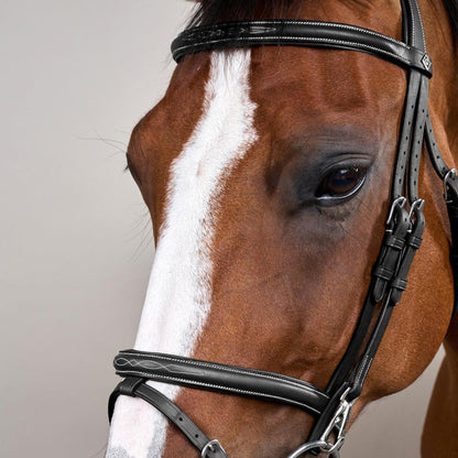 Dy'on Working Collection Flash Noseband Bridle With Snaps - Equiluxe Tack