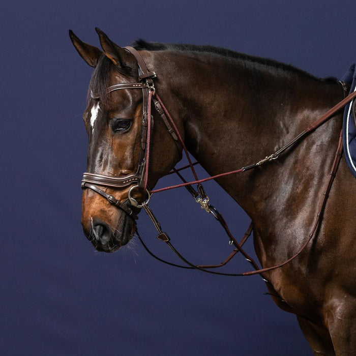 Dy'on Working Collection Gogue Nylon Ropes - Equiluxe Tack