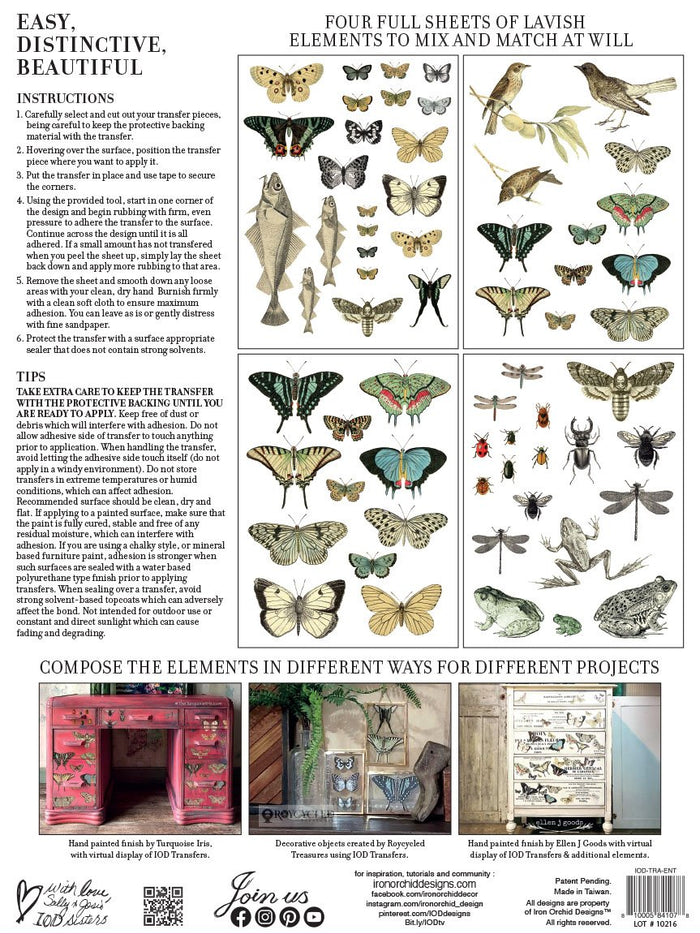 ENTOMOLOGY ETCETERA IOD TRANSFER 12×16 PAD