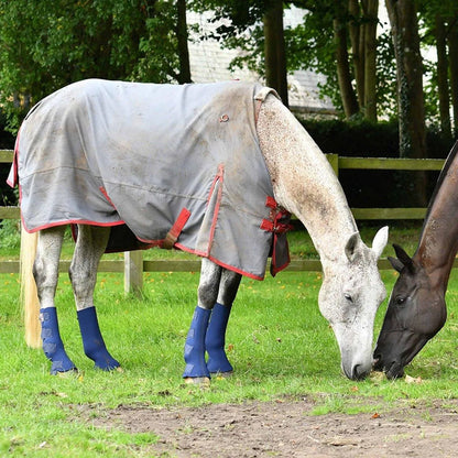 Equilibrium Equi-Chaps Hardy Chaps - Blue - Extra Small