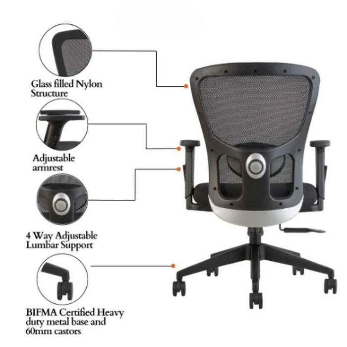 Ergonomic Office Chair with Lumbar Support, Adjustable Height, Swivel Base, Breathable Mesh Backrest and Modern Workstation Chair