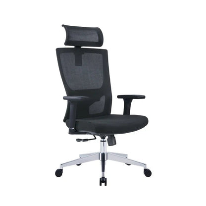 Director Chair