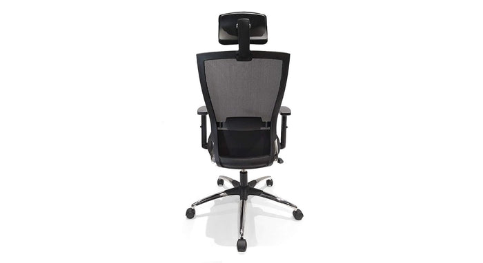 Executive Mesh Office Chair with Adjustable Headrest, Lumbar Support, Cushioned Seat, Tilt Mechanism, Swivel Base and Chrome Legs