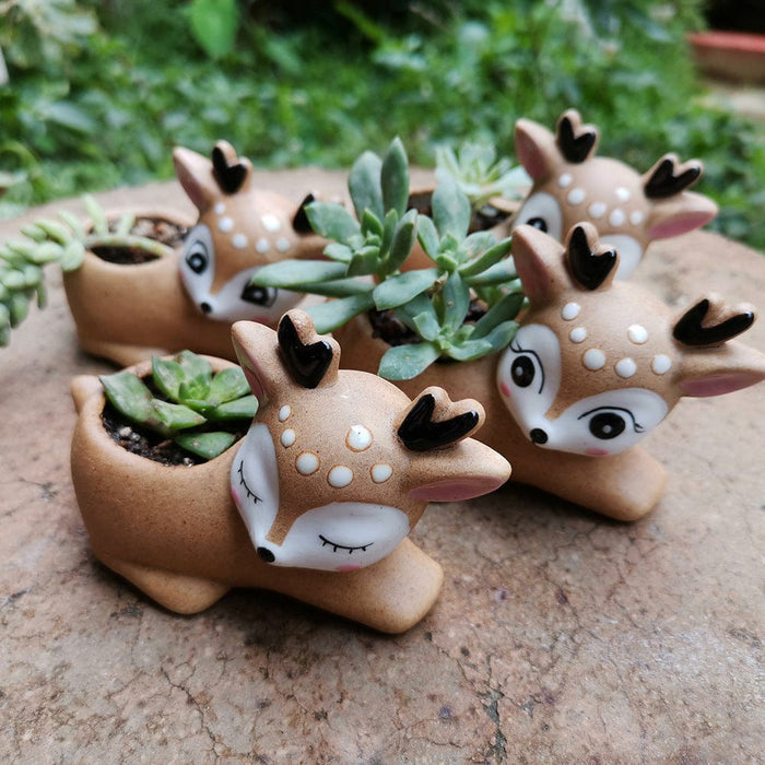 Gadget Gerbil Fawn Succulent Plant Flower pot