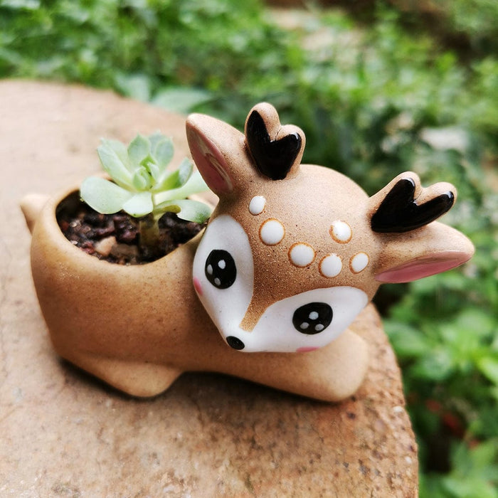 Gadget Gerbil Crying Fawn Succulent Plant Flower pot