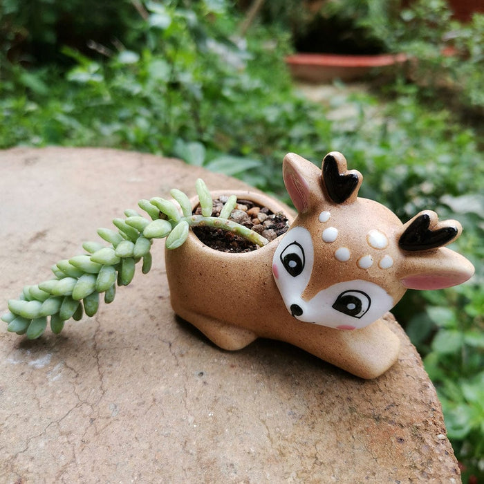 Gadget Gerbil Big eyes Fawn Succulent Plant Flower pot