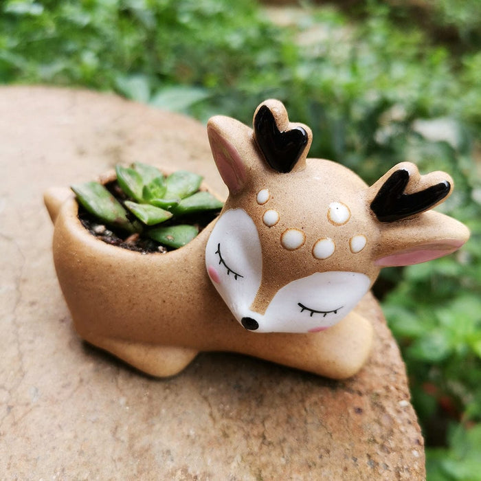 Gadget Gerbil Falling asleep Fawn Succulent Plant Flower pot