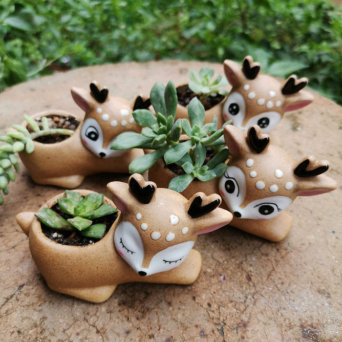 Gadget Gerbil Fawn Succulent Plant Flower pot