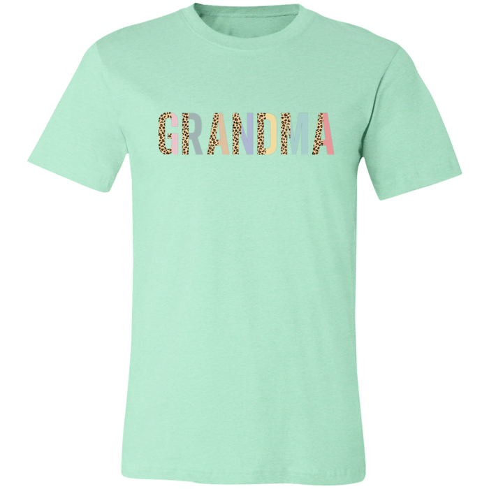 Grandma Leopard and Pastel Color Block graphic t-shirt in Heather Mint