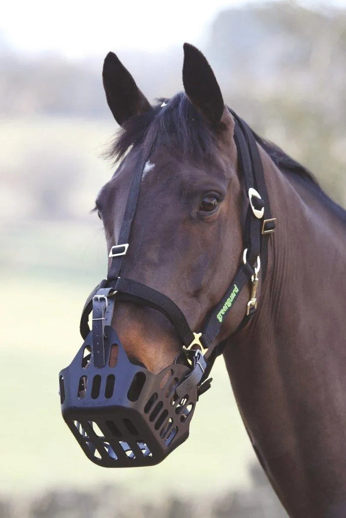 Greenguard Spare Strap - Black -