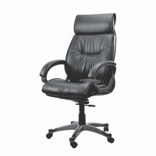 Director Chair