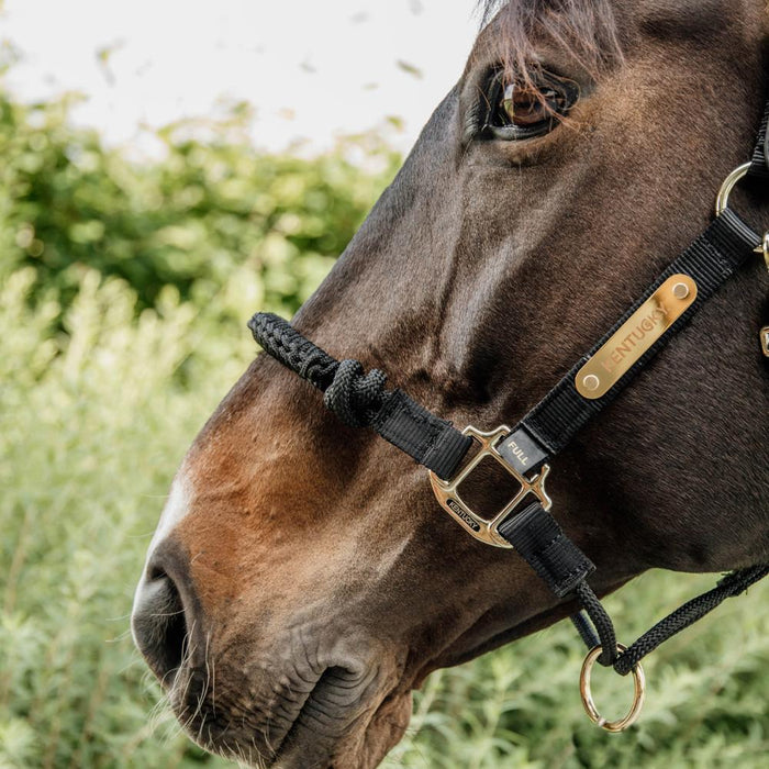 Kentucky Horsewear Control Halter Neck Piece - Equiluxe Tack