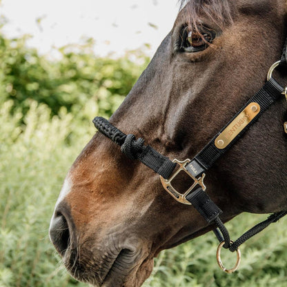 Kentucky Horsewear Control Halter Neck Piece - Equiluxe Tack