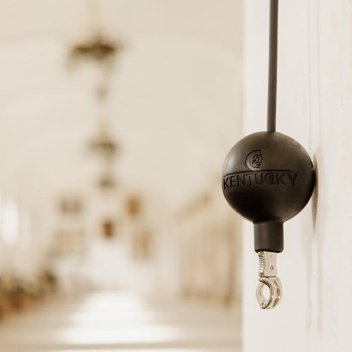 Kentucky Horsewear Lead & Wall Protection Rubber Ball - Equiluxe Tack