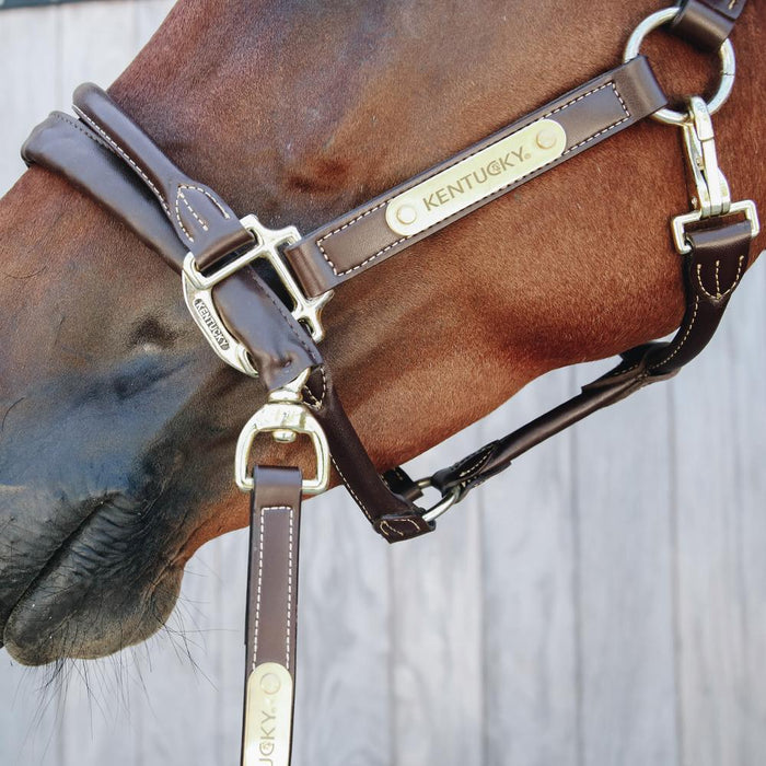Kentucky Horsewear Leather Covered Chain Lead 2.7m - Equiluxe Tack
