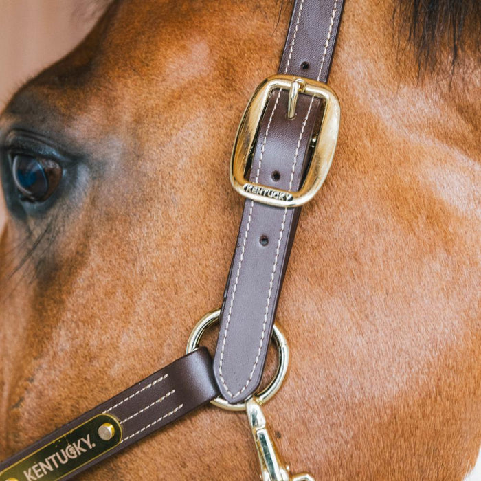 Kentucky Horsewear Leather Halter Wellington - Equiluxe Tack