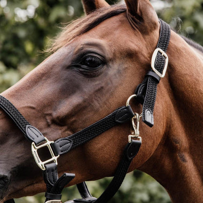 Kentucky Horsewear Plaited Nylon Halter - Equiluxe Tack
