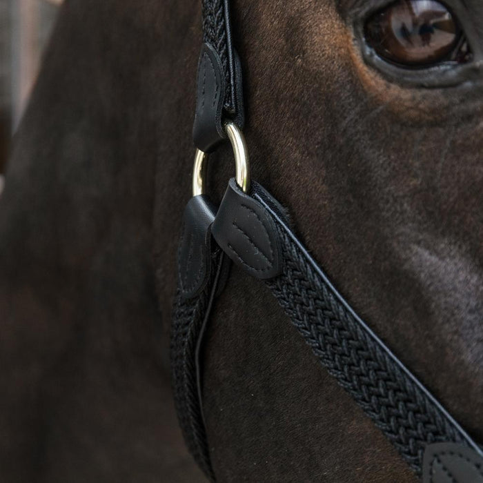 Kentucky Horsewear Plaited Nylon Halter - Equiluxe Tack