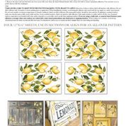 LEMON DROPS IOD TRANSFER 12×16 PAD