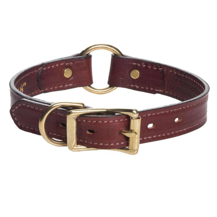 Wide brown leather dog collar with brass buckle, hardware, and a center safety ring for working dogs.