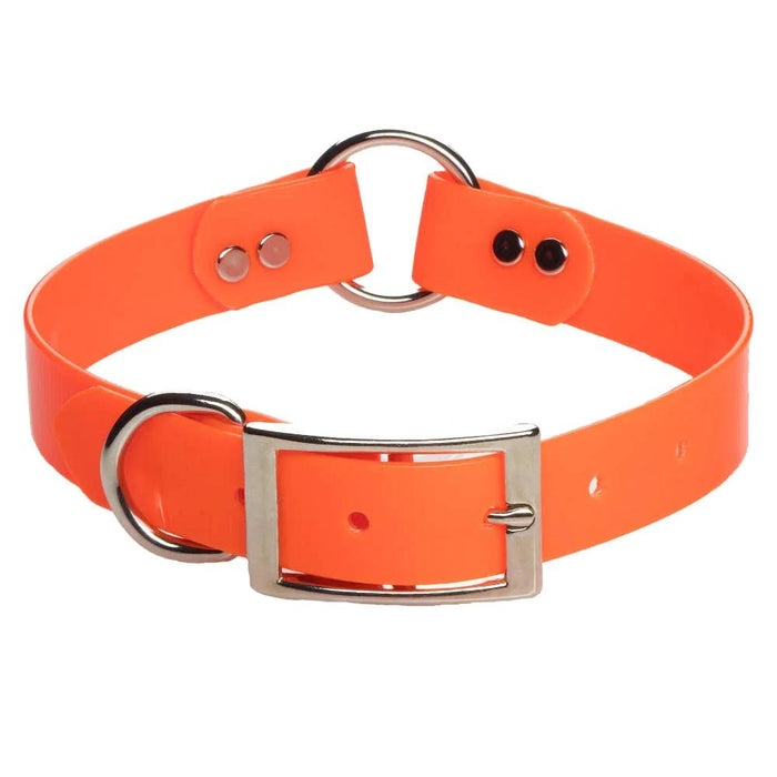 High-visibility orange Biothane dog collar with a durable metal buckle, D-ring, and center-ring design.