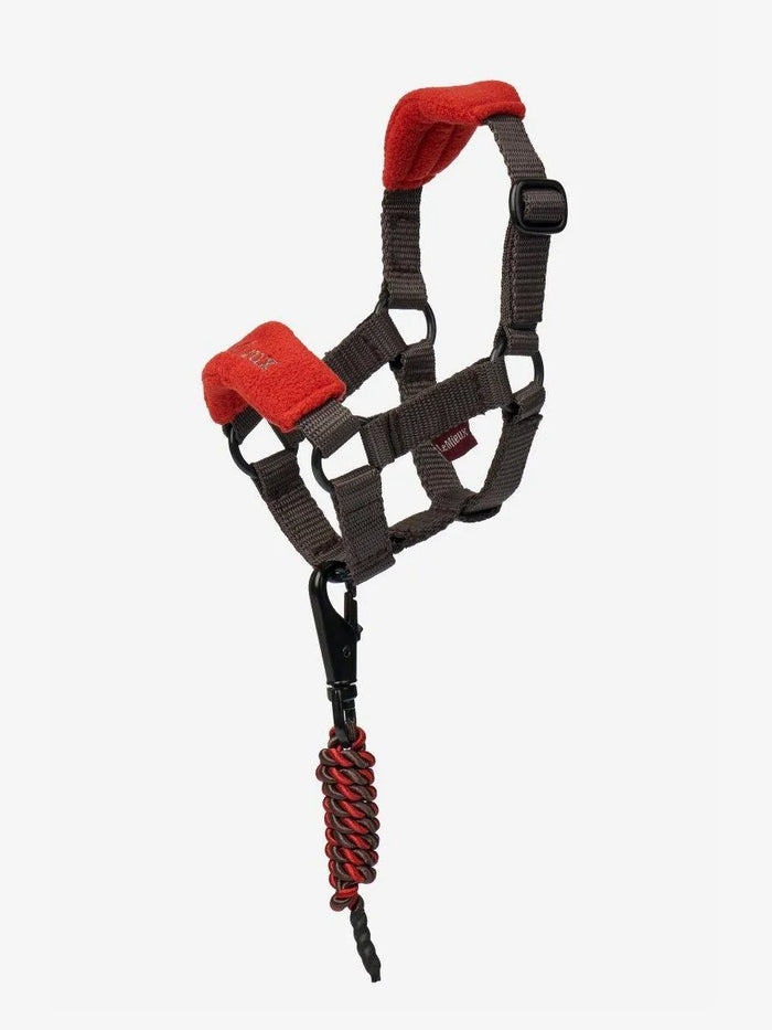 Headcollar - Sienna