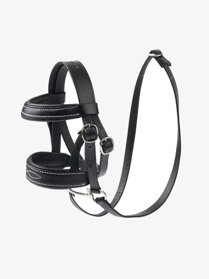 Black Bridle