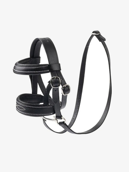 Black Bridle