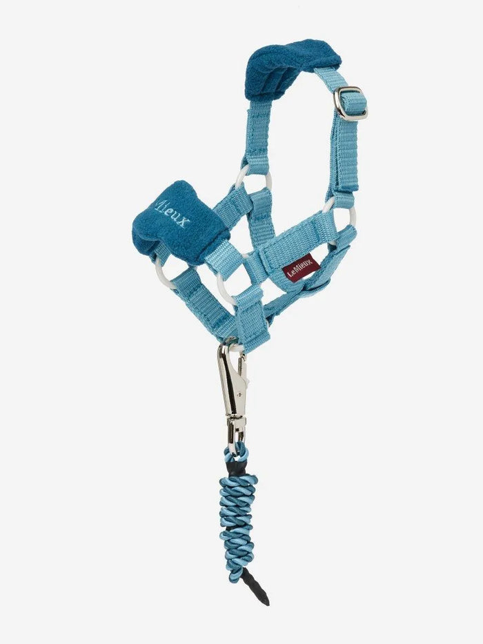 Headcollar - Marine