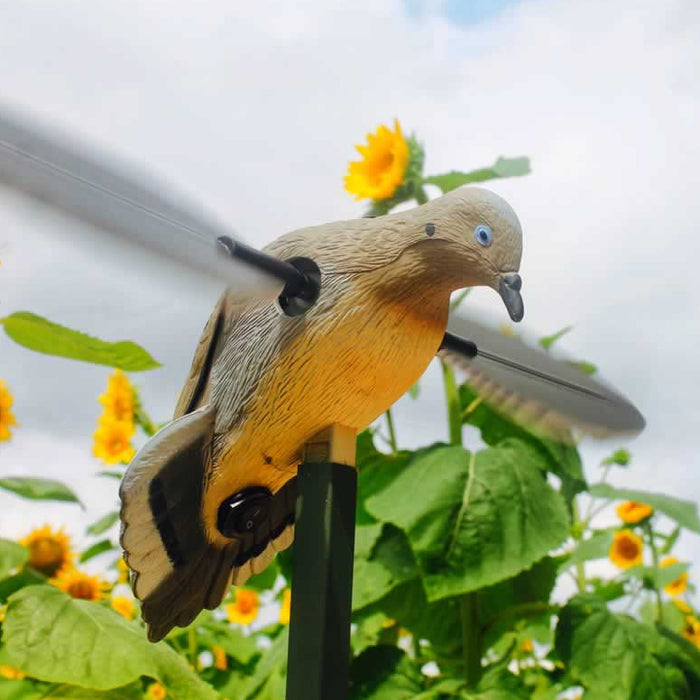 Realistic Mojo Voodoo dove decoy with spinning wings mounted on a support pole in a sunflower field.